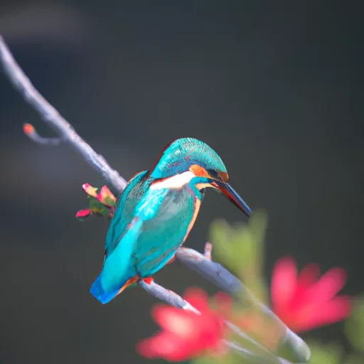ベイプおすすめ